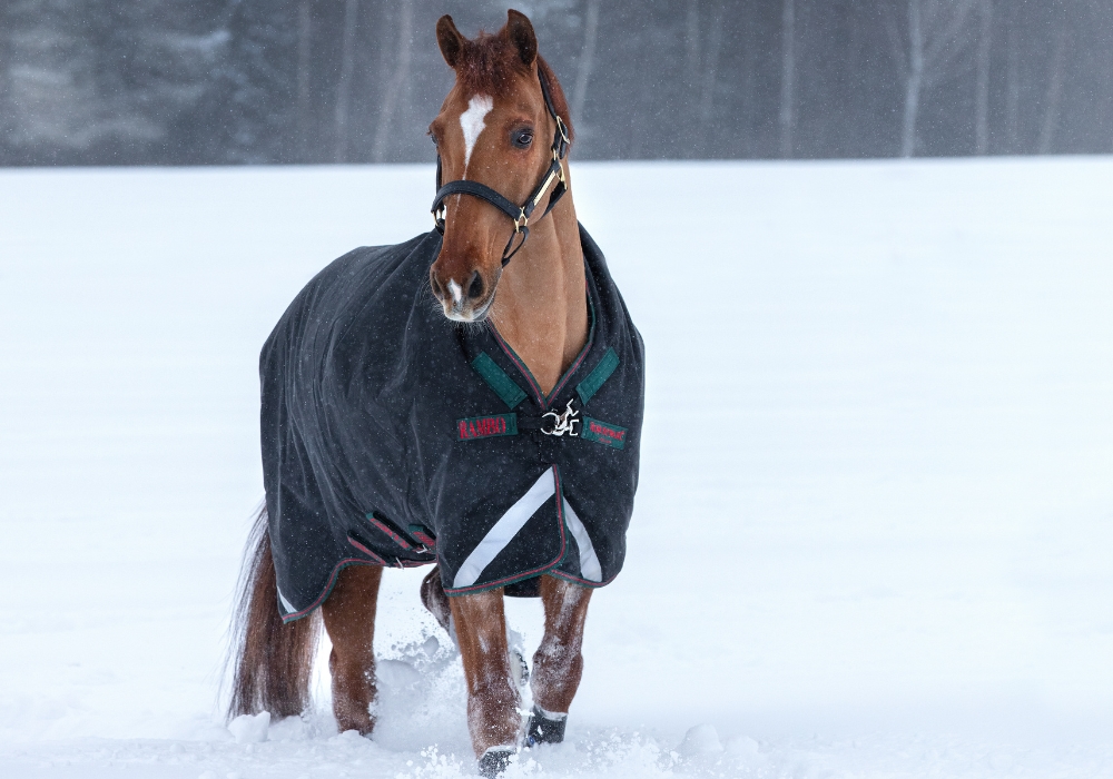 Horseware Udedækkener 250 til 450 gram